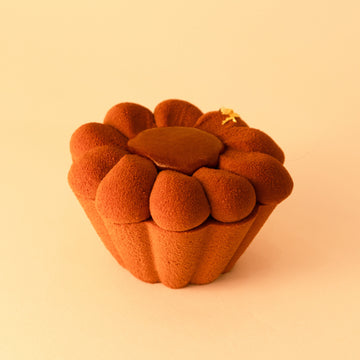 Entremets chocolat praliné