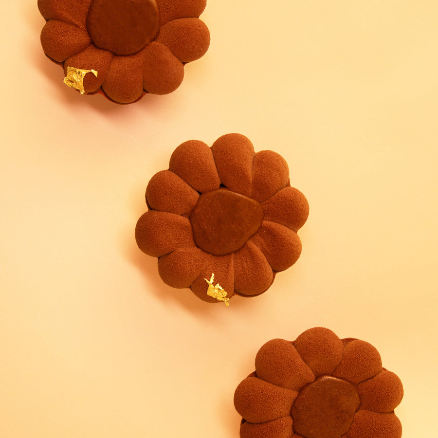 Entremets chocolat praliné