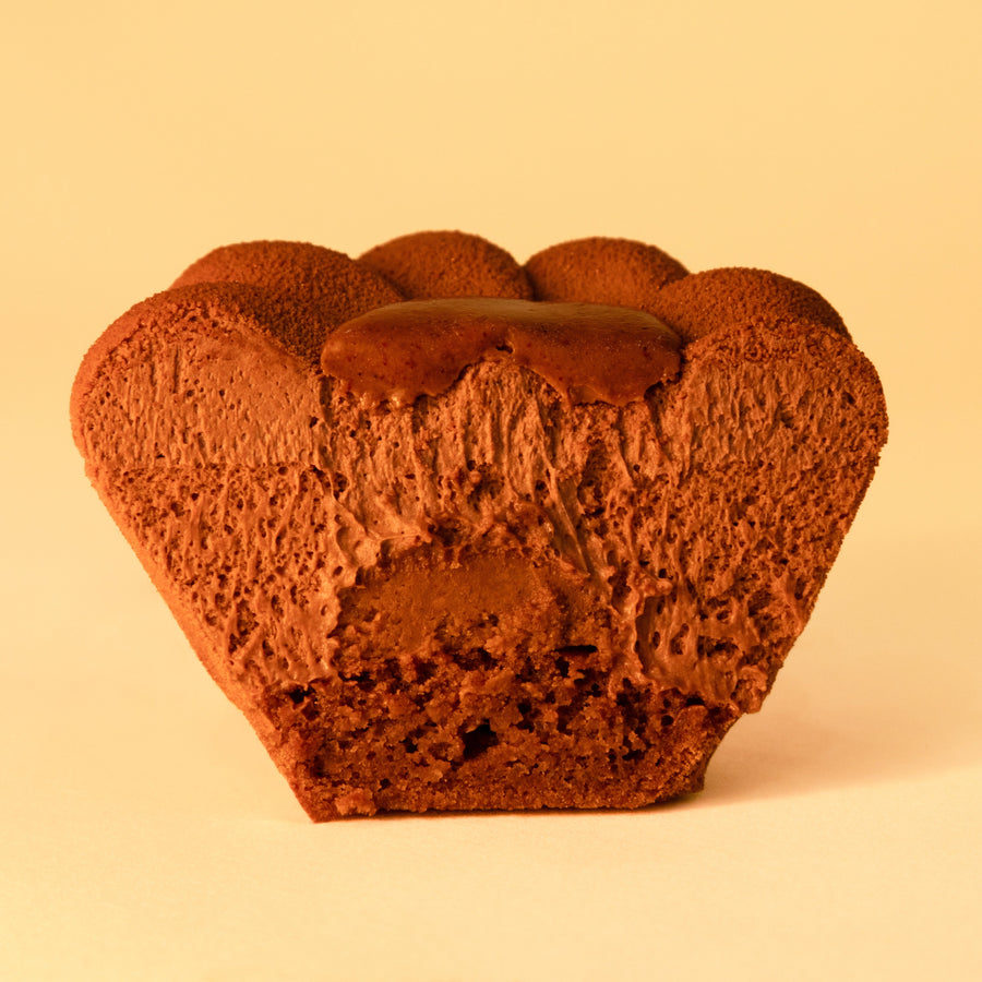 Entremets chocolat praliné