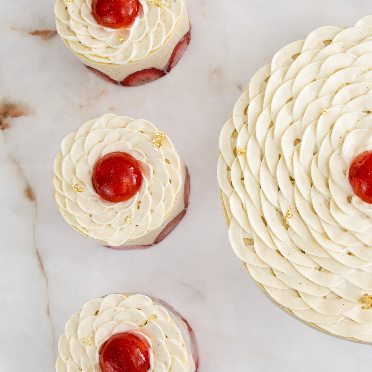Fraisier à partager vue rapprochée
