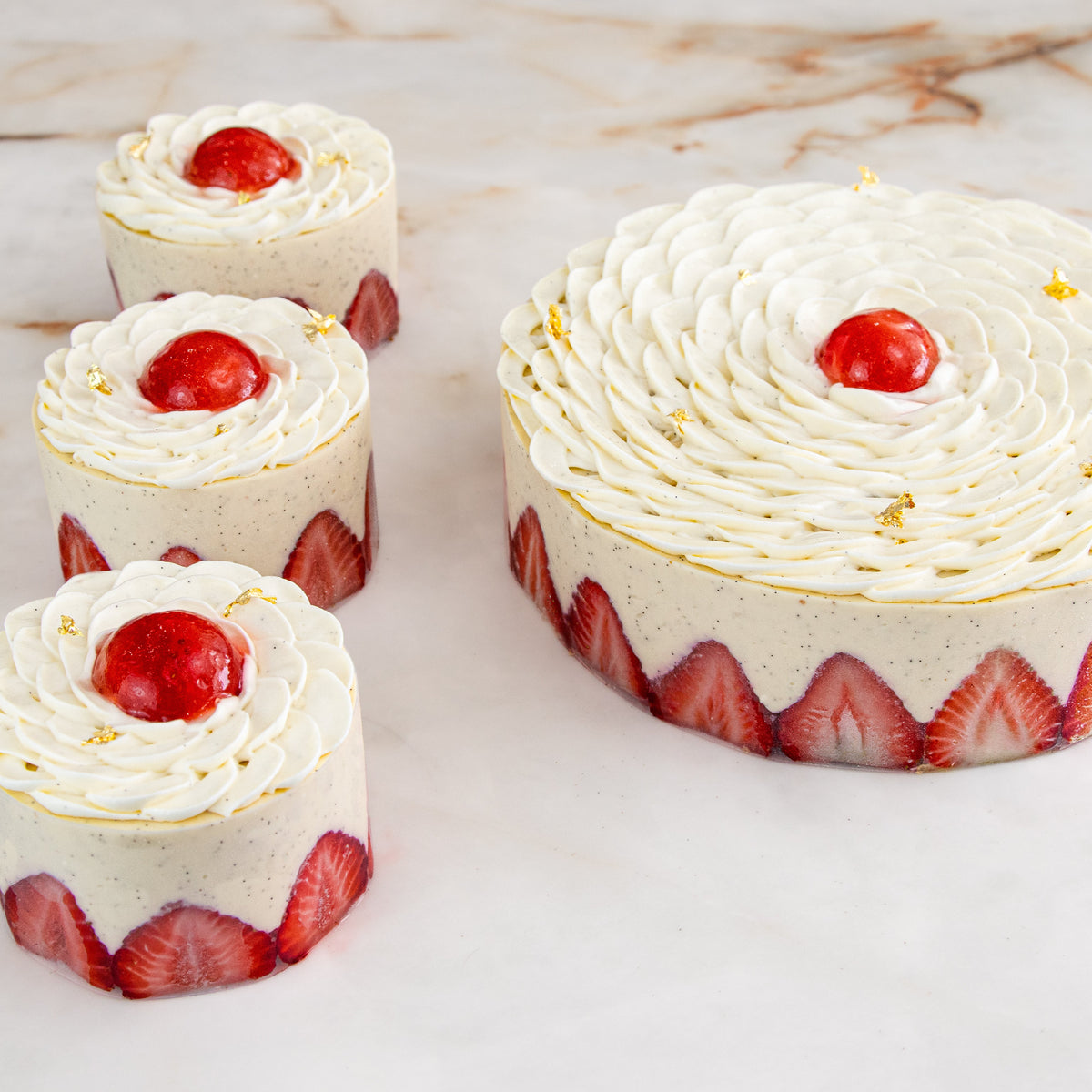 Fraisier à partager gros plan